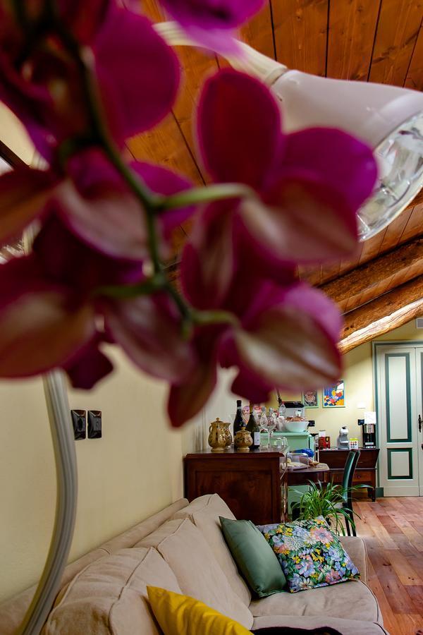 Ca D'I. Bed & Breakfast Magliano Alfieri Exterior photo